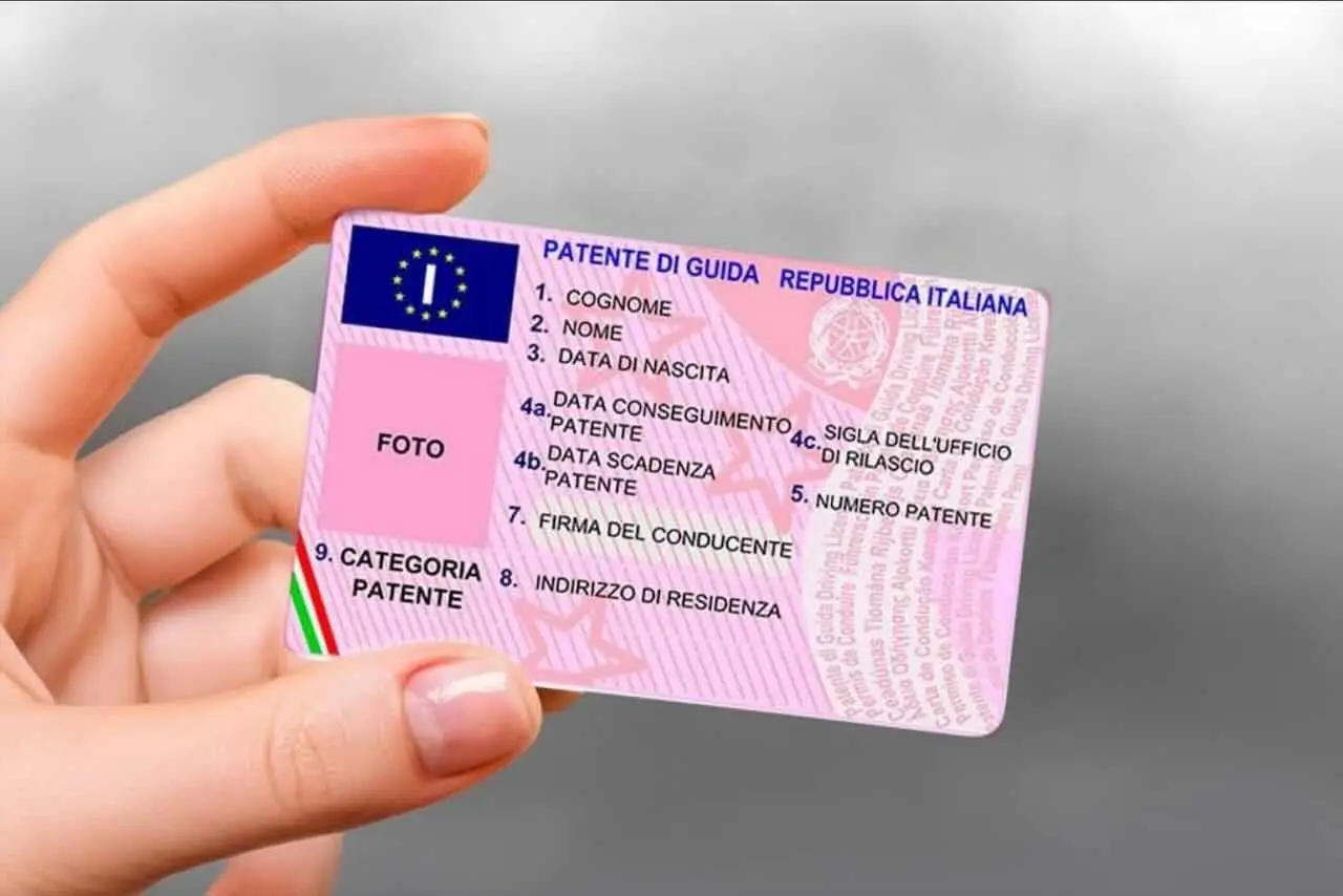 Immagine selezionata